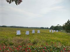 -嘉北郊野公园