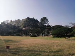 -西湖外事游船(花港观鱼码头)