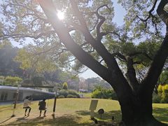 -云溪植物园