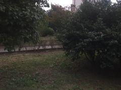 -余姚市灵岩禅寺