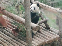 -大连森林动物园