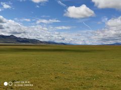 -祁连山草原