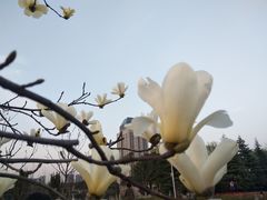 -公益图书馆(江南大学店)
