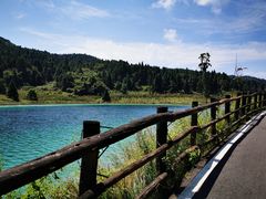 -武陵山森林公园