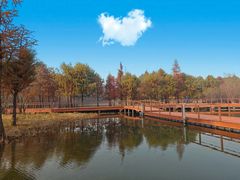 -贡湖湾湿地公园
