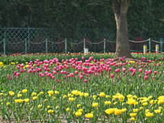 -大宁公园