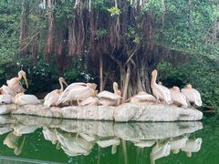 -珠海长隆海洋王国