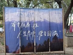 -长白岛森林公园