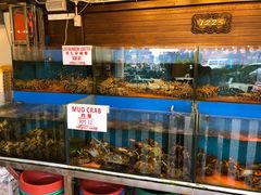 -真浪花园海鲜餐馆
