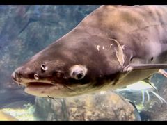 -太平洋海底世界