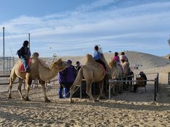 -库伦旗银沙湾旅游景区