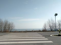 -贡湖湾湿地公园