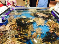 -盒马鲜生(大成店)