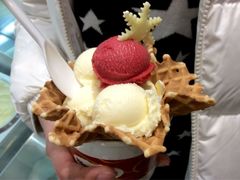 冬日雪花-哈根达斯(滨江店)