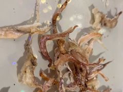 -木屋烧烤(龙岗龙城万科里店)