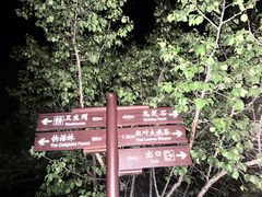 -鬼笑石后山停车场