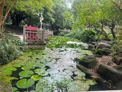 -晓港公园