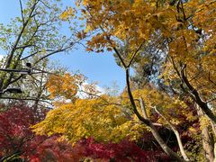 -虞山风景区