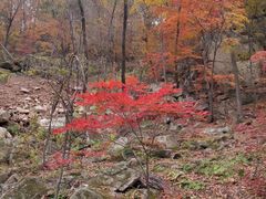 -丹东天桥沟景区