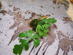 -老虎潭水库