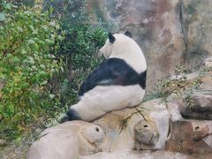 -青藏高原野生动物园