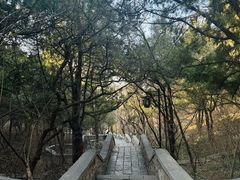 -千佛山风景名胜区