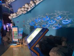 -烟台海昌鲸鲨海洋公园