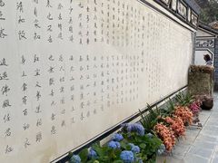-寂照庵