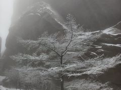 -崂山巨峰游览区