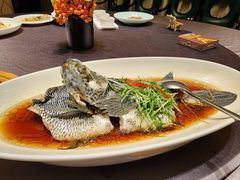 -骏莱海鲜鱼港(五角场店)