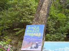 -帽儿山风景区