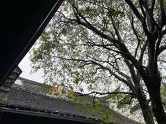 -蒋氏故居