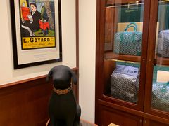 -Goyard 高雅德(国贸商城店)