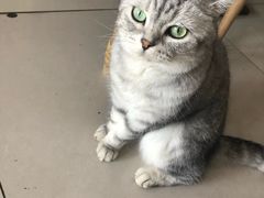 -平行世界·猫咖(首经贸店)