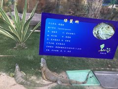 -灵玲国际马戏城