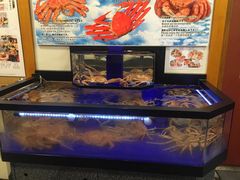 -蟹道乐(道顿堀本店)