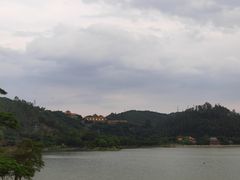 -顺峰山公园
