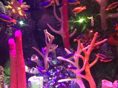 -沈阳海洋探索中心