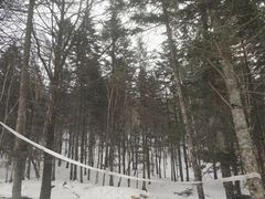 -雪谷