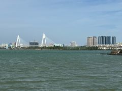 -万绿园
