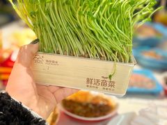 -蛙二爷美蛙火锅基地(温州总店)
