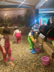 -造物庄园 萌宠纪(苏州湾歌林公园店)