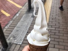 -富豪雪糕车流动点(尖沙咀店)