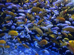 -成都浩海立方海洋公园