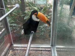 -南宫五洲植物乐园