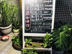 -有猫主题·治愈系猫咖(曾厝垵店)
