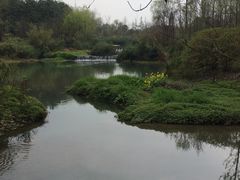 -桤木河湿地公园