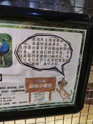 -酷嗒动物文化乐园(cutezoo西溪乐天城店)