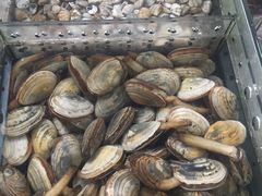 -马王堆海鲜水产市场