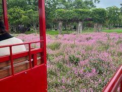 -歌斐颂巧克力小镇